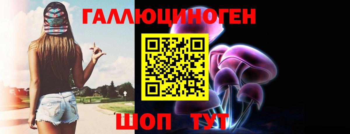 Шатура  Галлюциногенные грибы Psilocybine cubensis  Вход с VPN 